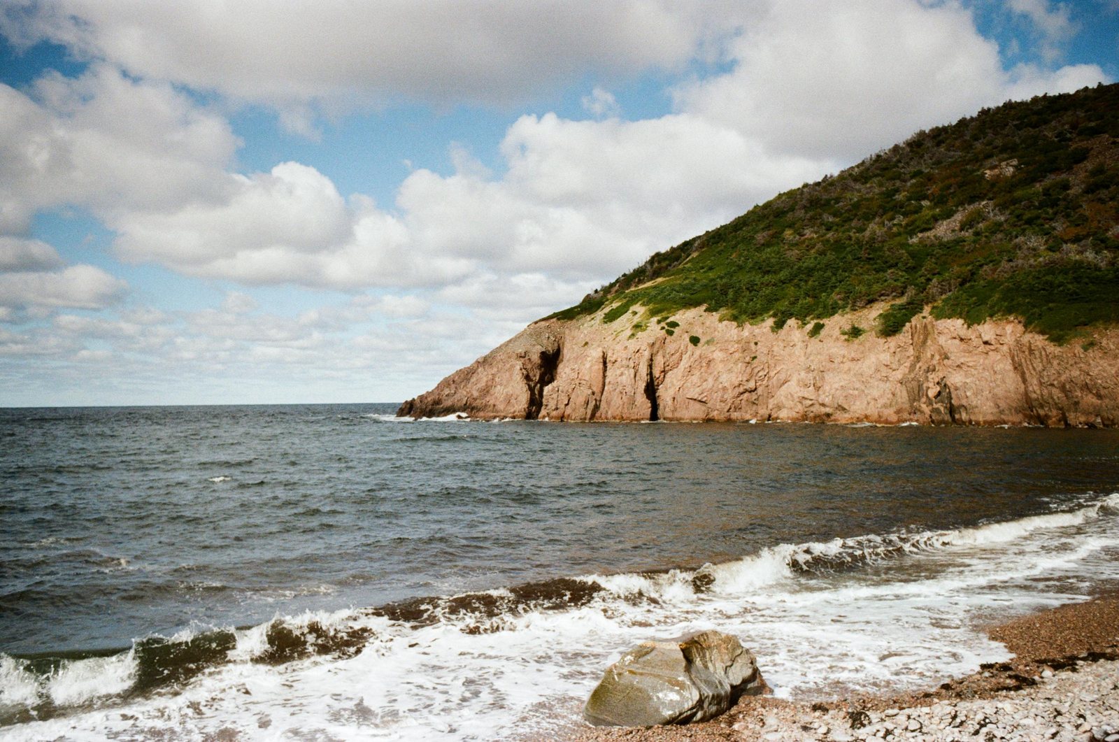 Ocean waves meeting a rocky green coastline